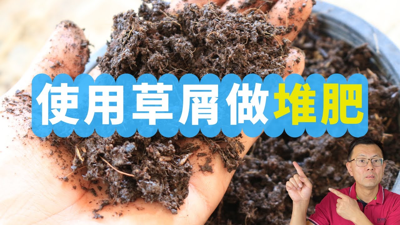 使用草屑做堆肥：分步操作，一看就会