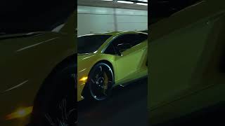 Straight Pipped Lamborghini Aventador Svj