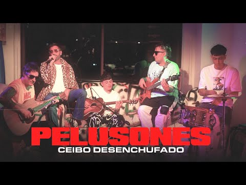 PELUSONES | CEIBO DESENCHUFADO