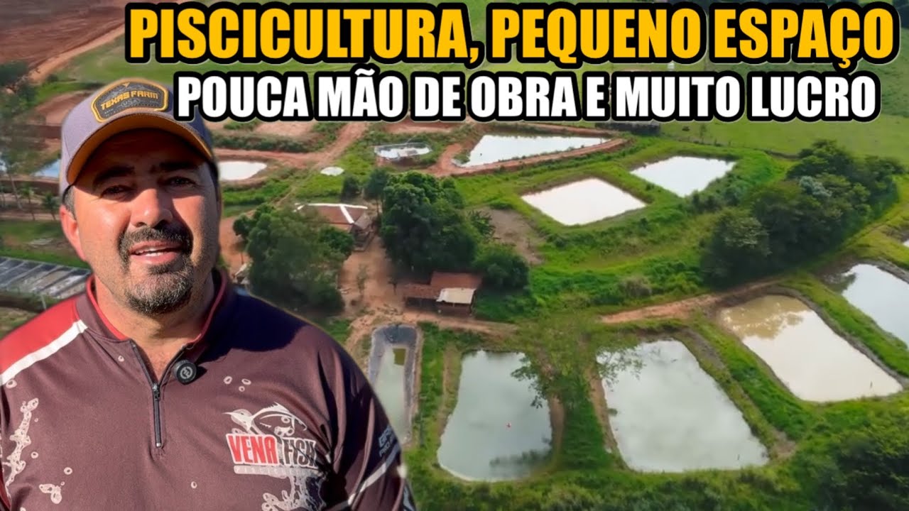 PISCICULTURA, O NEGÓCIO DO FUTURO