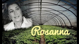 Download Lagu ROSANNA - FIORI CHE UCCIDONO MP3