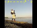 エギングでデカイカがかかるとこうなる #shorts