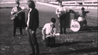 The Yardbirds Shape of Things