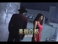 (カラオケ)美貌の都 / 宝田明