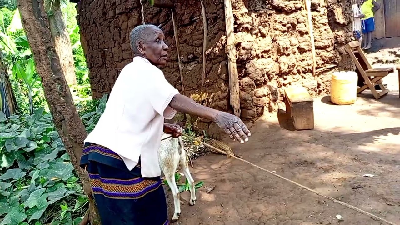 Madam Malongo appreciated us with a cock after recovering sight