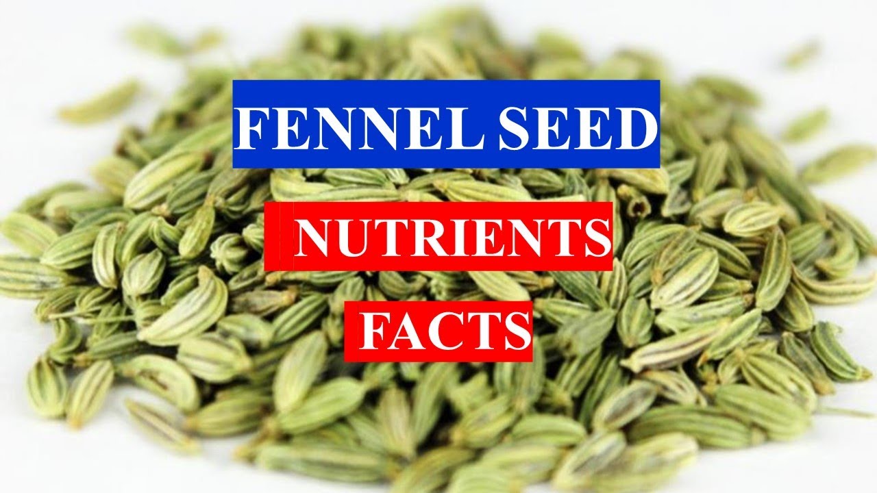 FENNEL SEED HEALTH BENEFITS AND NUTRIENTS FACTS YouTube