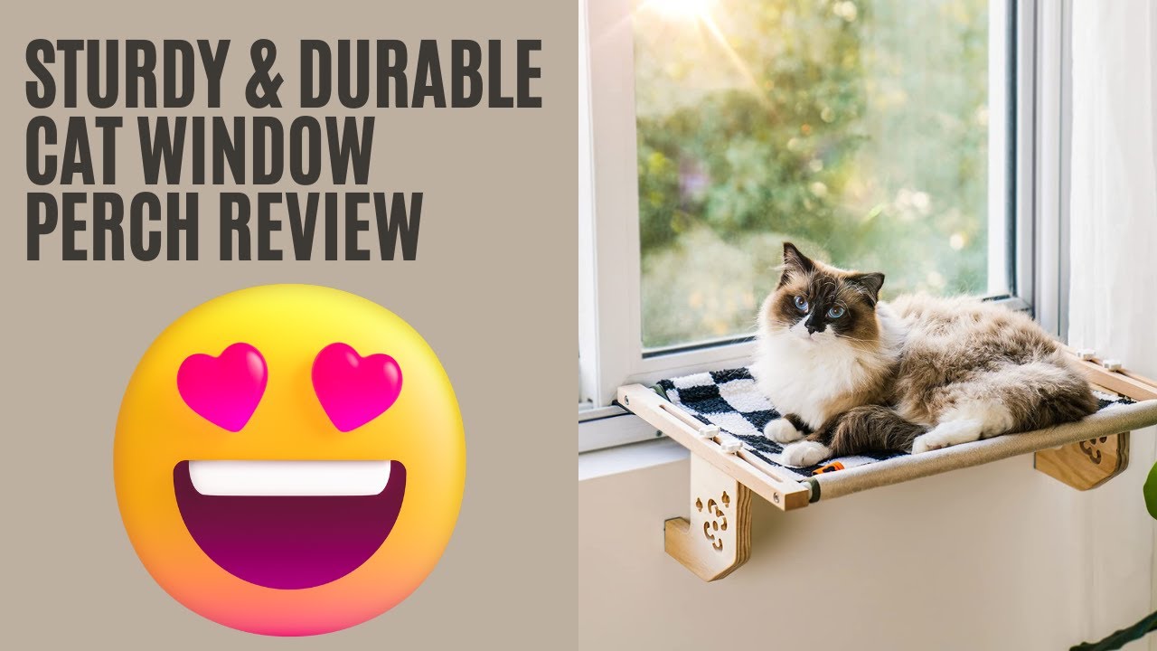 Sturdy & Durable Cat Window Perch Review