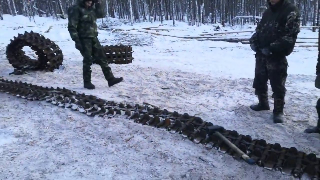 Гусянки на ниву