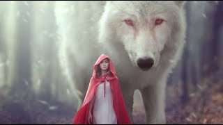 Photoshop creative manipulation , the wolf fantasy editing screenshot 5