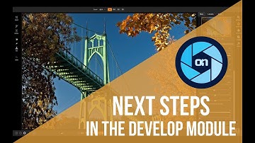 Next Steps in Develop: Process Your Raw Photos – ON1 Photo RAW