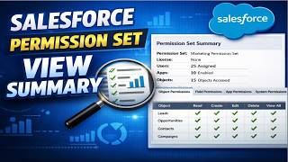 Salesforce Permission set View summary option