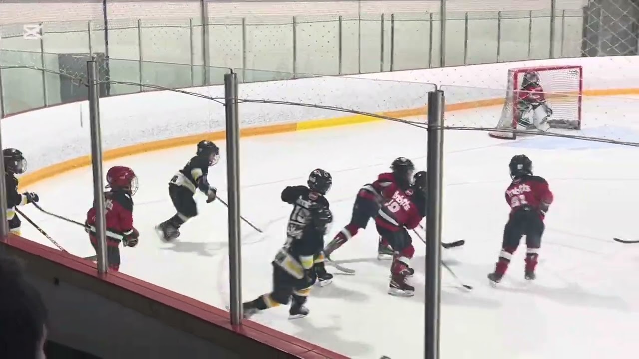 U7 Black Bears vs Perth Red December 20,2025