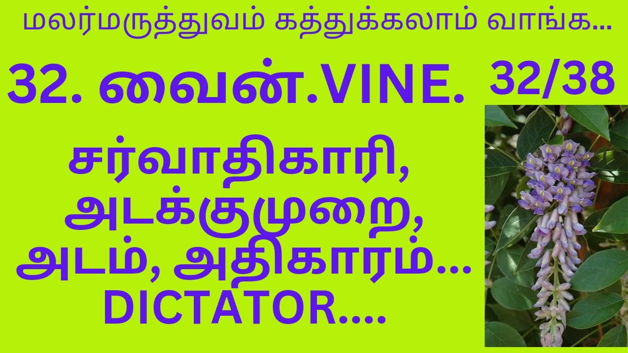 வைன் மலர்மருந்தின் பயன்கள். VINE FLOWER MEDICINE USES. YouTube