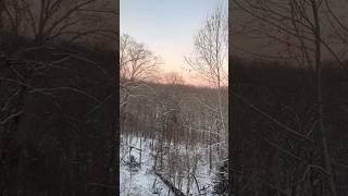 Sunrise to Sunset (Shorts)
