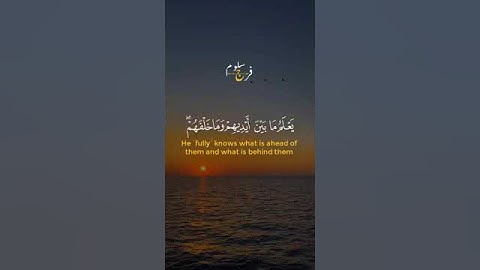 آية الكرسي تلاوة القارئ فرج سلوم Farag Salloum
