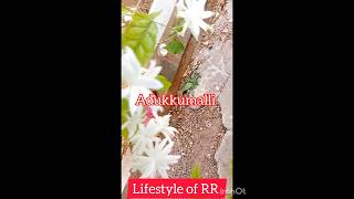 Mixed Content #lifestyleofrr #mixedcontent #garden #food #newchannel #subscribe #homecook #flower