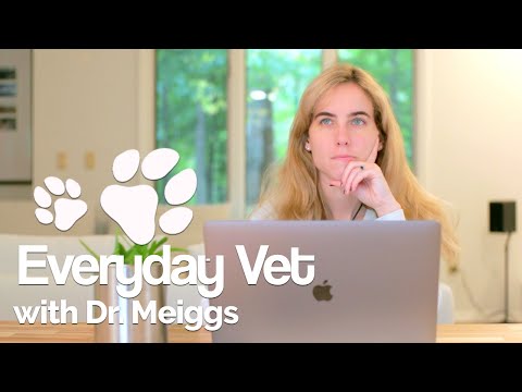 वीडियो: बड़े कुत्तों की पोषण संबंधी आवश्यकताएं