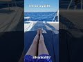 Yacht music  im on a yacht silvanka007 yacht yachtlife yachting catamaran viral shorts