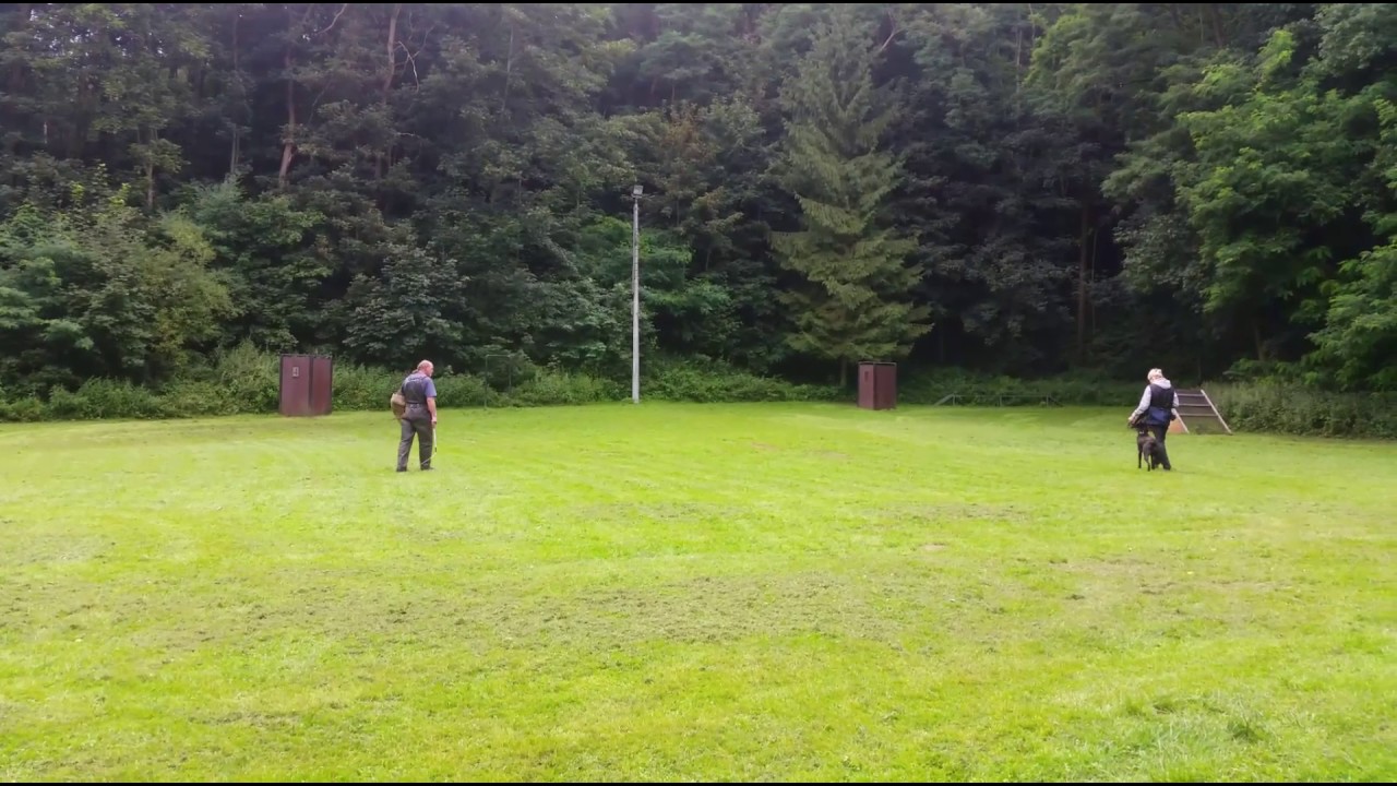 Herder Berry Triebkontrolle