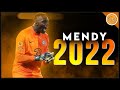 Edouard mendy  the octopus  impossible saves  passes show  202122 f.