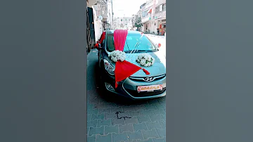اسامة عامر 