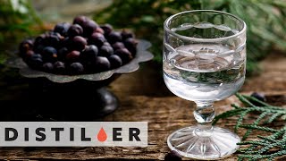 What is Gin? | Everything You Need to Know