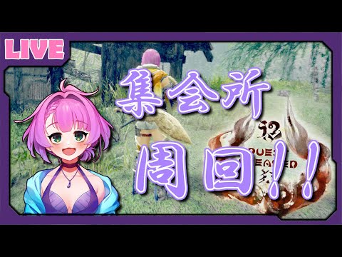 【#MHRise】サンブレイクに向けて・・・！！【Vtuber/レーラン】