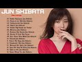 柴田 淳 の最高の曲 II Jun Shibata vol 03