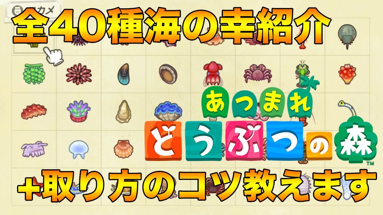 あつ森 全40種 海の幸紹介と取り方のコツ あつまれどうぶつの森 Youtube