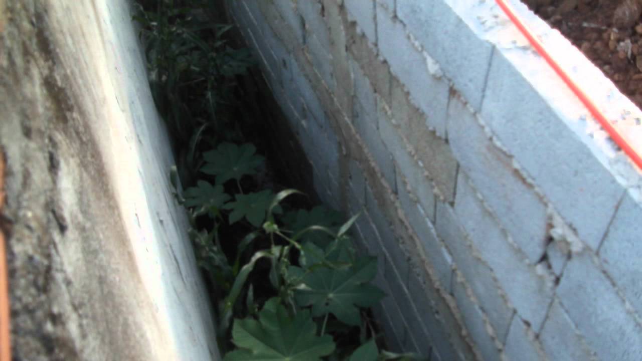 DSCF3038 - YouTube