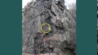 Sasquatch, Nephilim, Freemasonry and the 40th Parallel