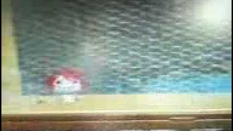 little big planet walk through walls glitch