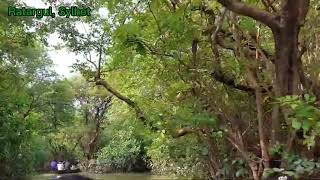 Explore Tour At Ratargul Swamp Forest