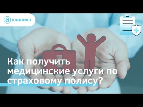 Видео: Ответы на семь моих основных вопросов о медицинском страховании домашних животных