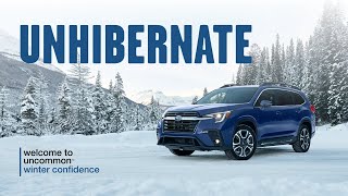Welcome to Uncommon | Unhibernate with Steele Subaru