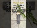 Foolish Choices Lead to Ruin 🌪️💔 #shorts #prayer #jesus #jesuschrist #bible #amen #scripture