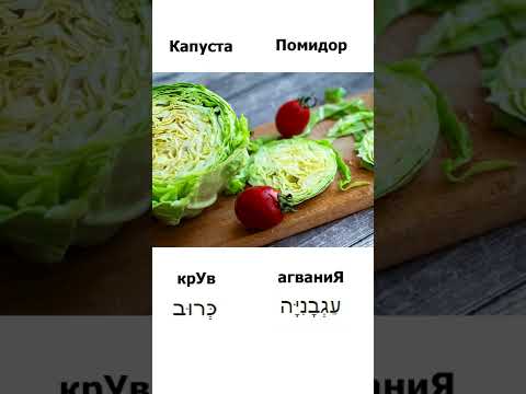 Слова на иврите с транскрипцией / Капуста - крУв Помидор - агваниЯ