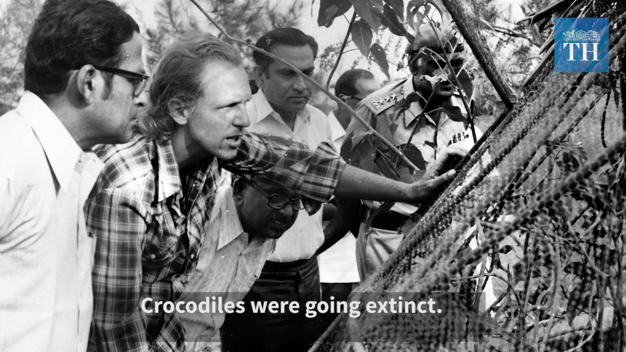 video phone lyrics Madras Crocodile Bank: A trip down the memory lane