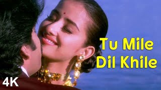 Tu Mile Dil Khile | 4K Video | Nagarjuna | Manisha Koirala | Ramya Krishna | 🎧 HD Audio