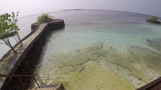 Lily Beach Resort -Maldives - Lagoon Villa walk through ...