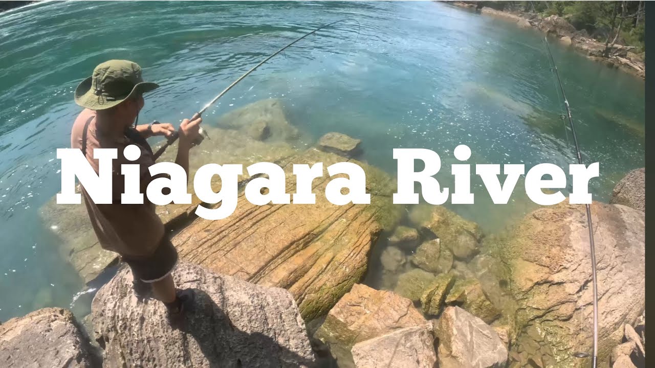 Big Fish in the Niagara River #FishingWithDavey #bassfishing
