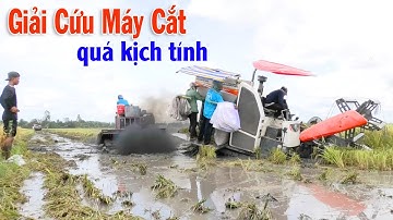 Máy Cắt DC70 Mắc Lầy | Máy Kéo Lúa Giải Cứu Quá Kịch Tính tập 362#thanhhaumaycat