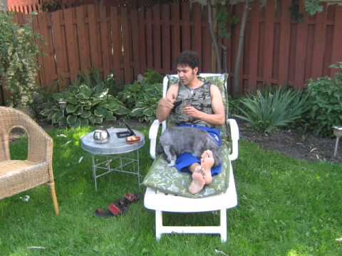 فضل شاكر يا حياة الروح إ