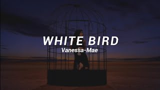 Vanessa-Mae: “White Bird”, Subtitulada (Español/English) 🎻🎶