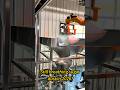 Sugar feeding#depalletizing #palletizer#depalletizer#plastic#food #machine#industrial#manufacturing