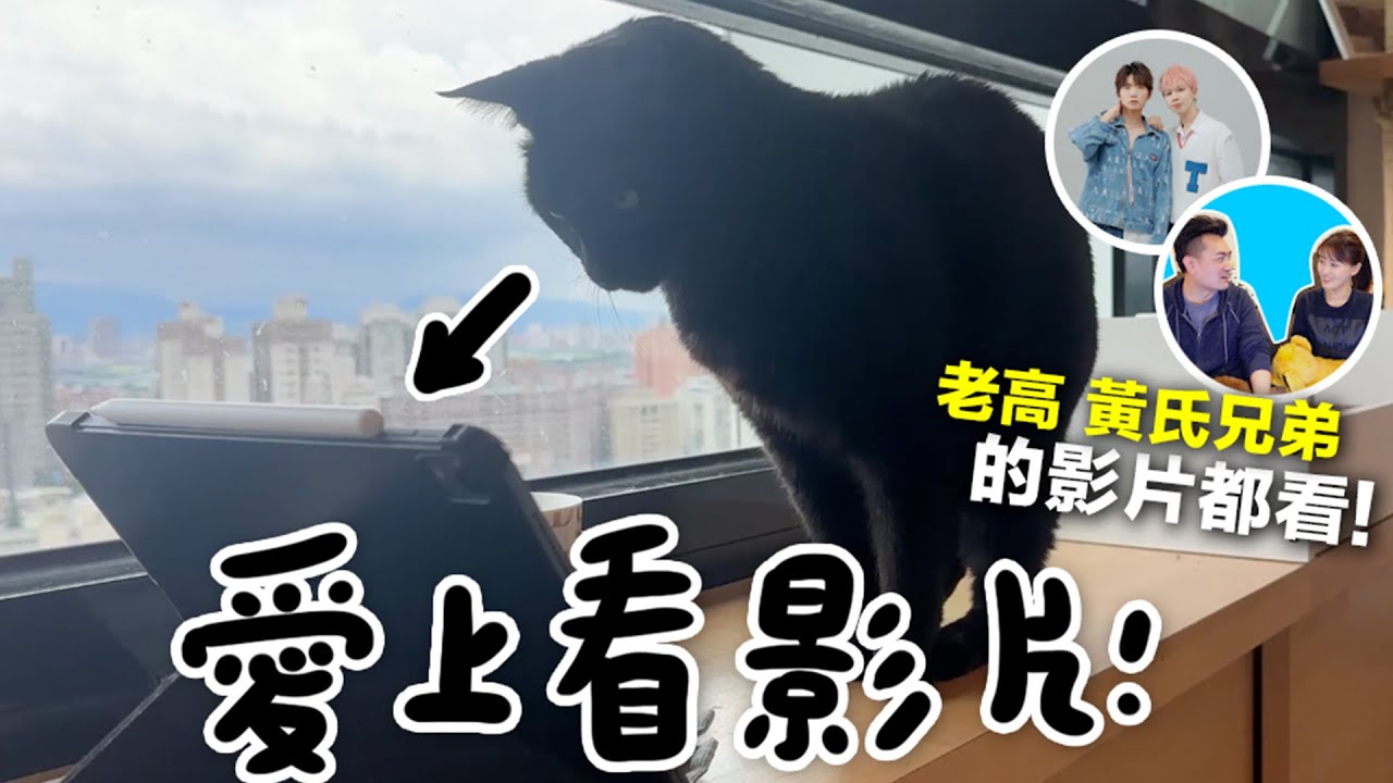 【黃阿瑪的後宮生活】Soso愛上看影片！老高、黃氏兄弟的影片都看！