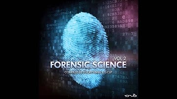 Sonic Entity - Mental Universe