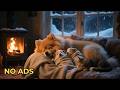 24 HOURS of Relaxing Music 💖🐶 Deep Sleep Puppy Calm Music🐶🎵Dog Separation Anxiety Music#dogmusic