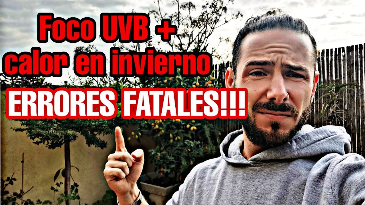 PORQUÉ se QUEMAN los REPTILES en INVIERNO? te ENSEÑO a colocar CORRECTAMENTE el UVB! 😉🐍🐸🦎🐢