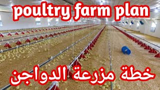 #Poultry farm business plan . Inside Modern Chickens Farm